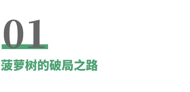 益智玩具市场规模接近5万亿元如何快速抢占这块细分市场？(图2)