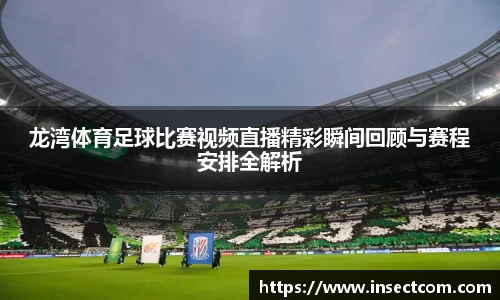 龙湾体育足球比赛视频直播精彩瞬间回顾与赛程安排全解析