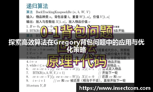 探索高效算法在Gregory背包问题中的应用与优化策略