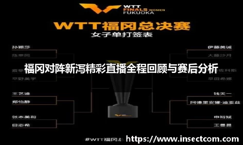 福冈对阵新泻精彩直播全程回顾与赛后分析